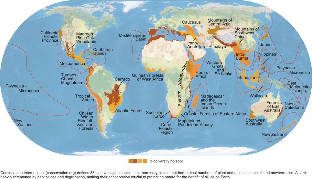 what is a biodiversity hotspot