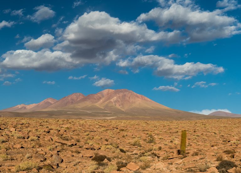 The Atacama Desert